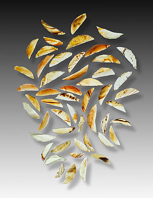 51 petites fragments, éléments d’armature de pointe de flèche, de l’armurerie de la forteresse de Mirgissa, Soudan. Révélation de la transparence des pointes par un éclairage du dessous.